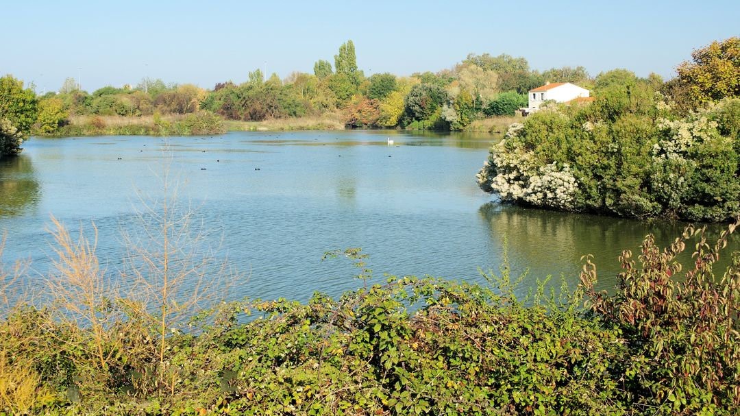 Sortie dans le marais de Tasdon du 21 octobre 2018