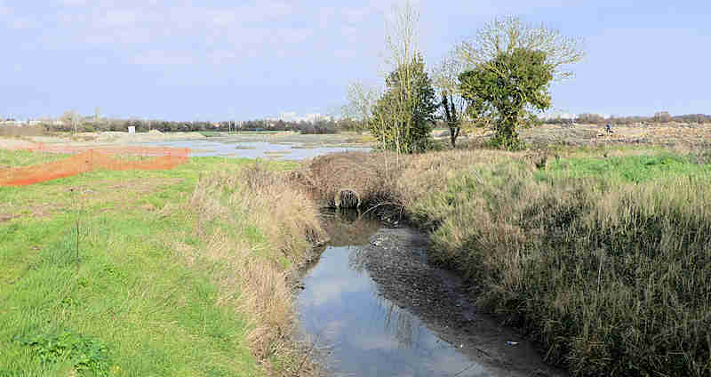 Le marais de Tasdon