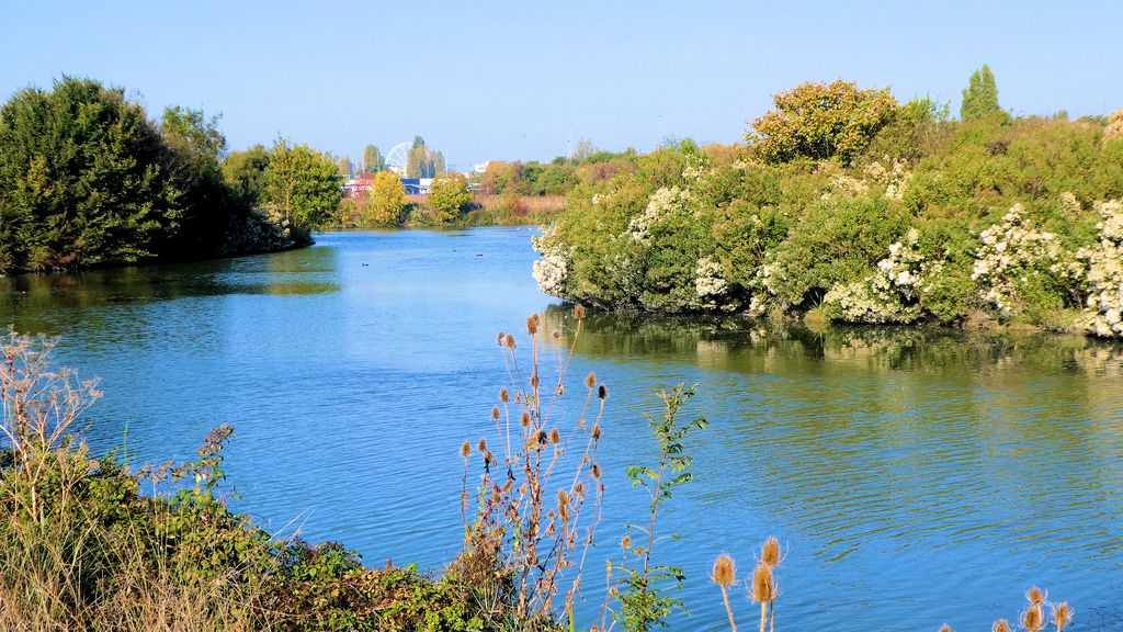 Sortie dans le marais de Tasdon du 21 octobre 2018