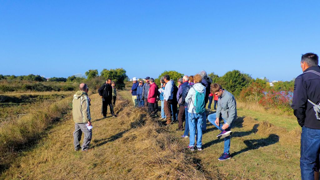 Sortie dans le marais de Tasdon du 21 octobre 2018